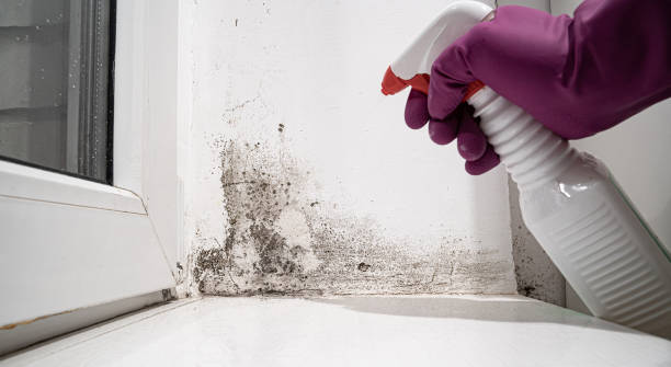 Best Emergency water damage restoration  in Hurstbourne, KY